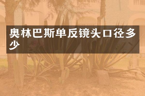 奥林巴斯单反镜头口径多少