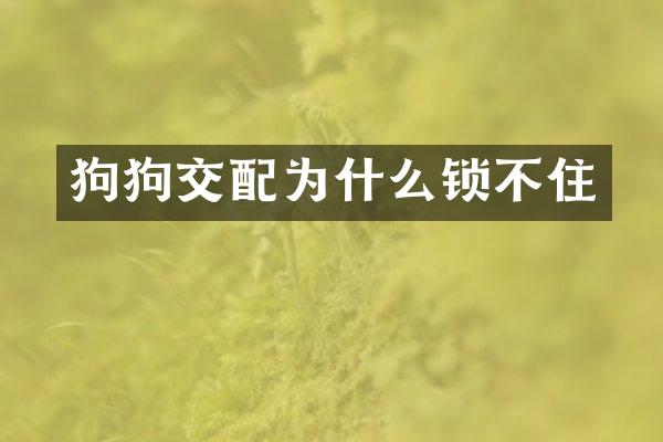 狗狗交配为什么锁不住