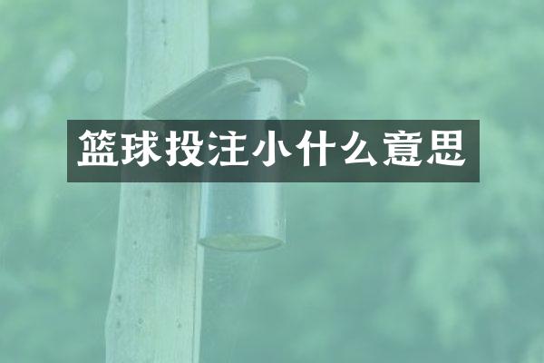 篮球投注小什么意思