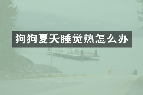 狗狗夏天睡觉热怎么办