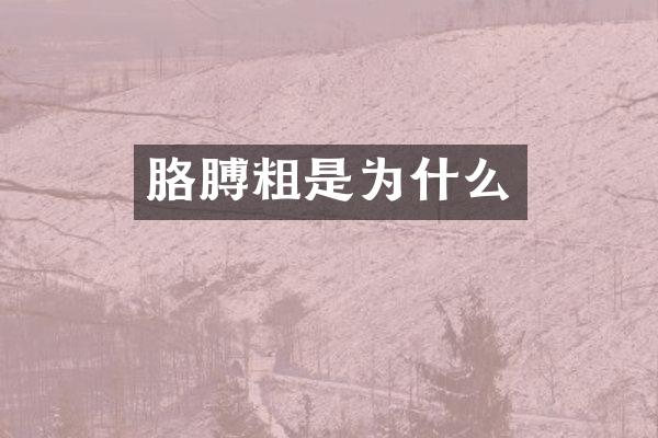 胳膊粗是为什么