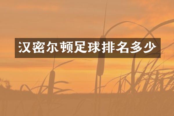 汉密尔顿足球排名多少