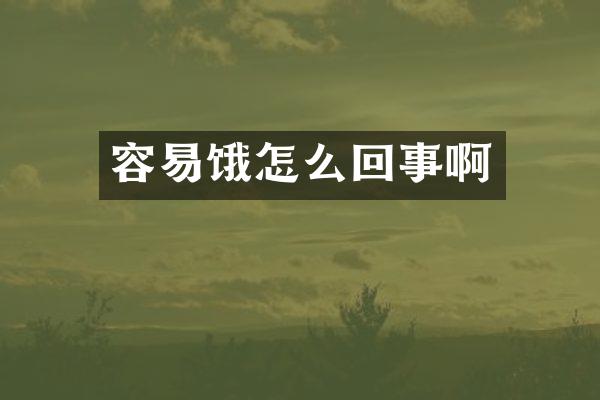 容易饿怎么回事啊
