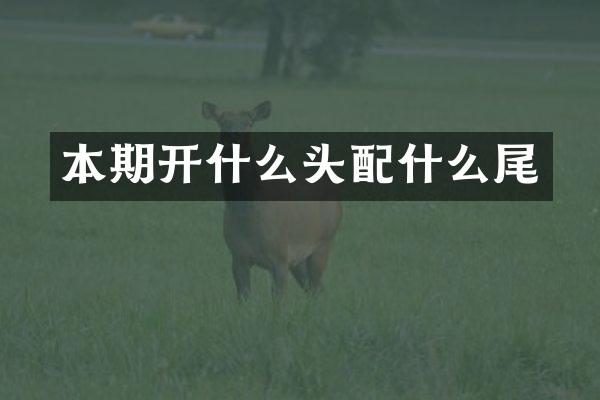 本期开什么头配什么尾