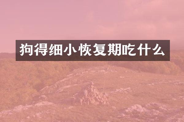 狗得细小恢复期吃什么