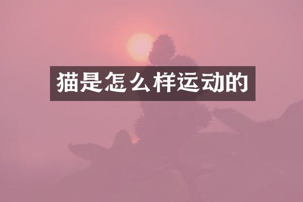 猫是怎么样运动的