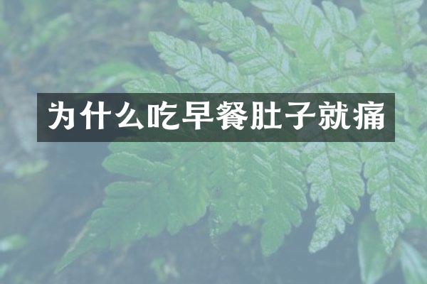 为什么吃早餐肚子就痛