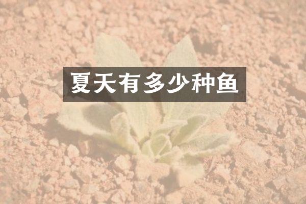夏天有多少种鱼