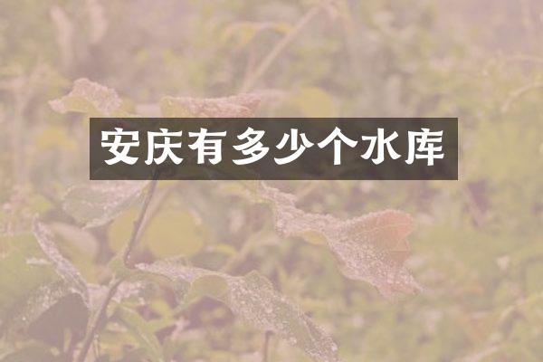 安庆有多少个水库