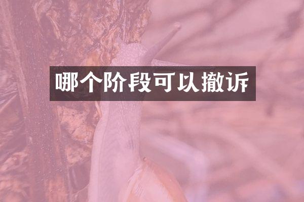 哪个阶段可以撤诉