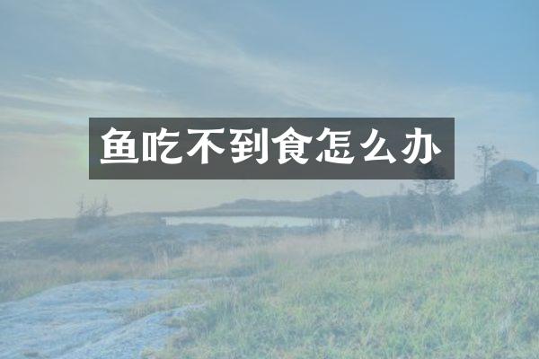 鱼吃不到食怎么办