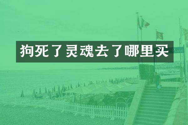狗死了灵魂去了哪里买