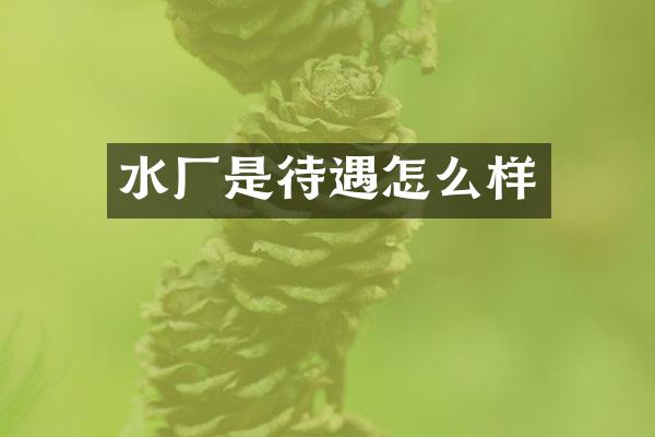 水厂是待遇怎么样