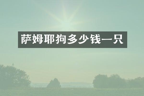 萨姆耶狗多少钱一只