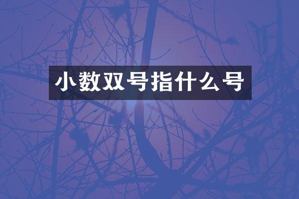 小数双号指什么号
