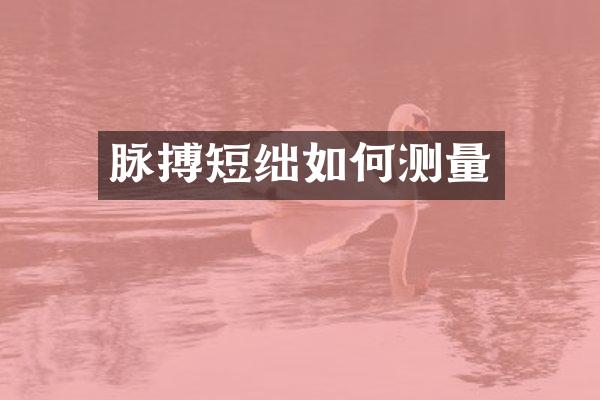 脉搏短绌如何测量