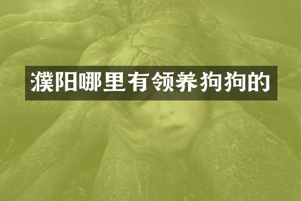 濮阳哪里有领养狗狗的