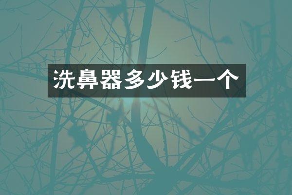 洗鼻器多少钱一个