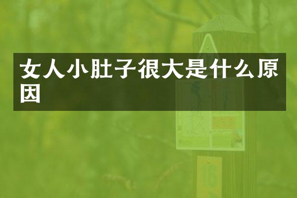 女人小肚子很大是什么原因