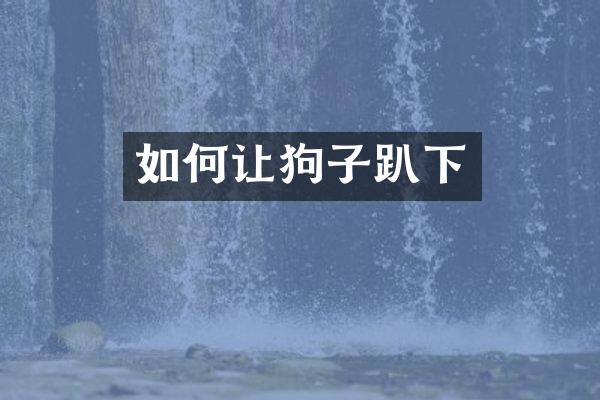 如何让狗子趴下