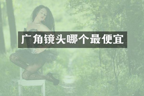 广角镜头哪个最便宜