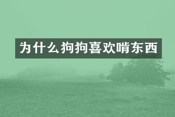 为什么狗狗喜欢啃东西