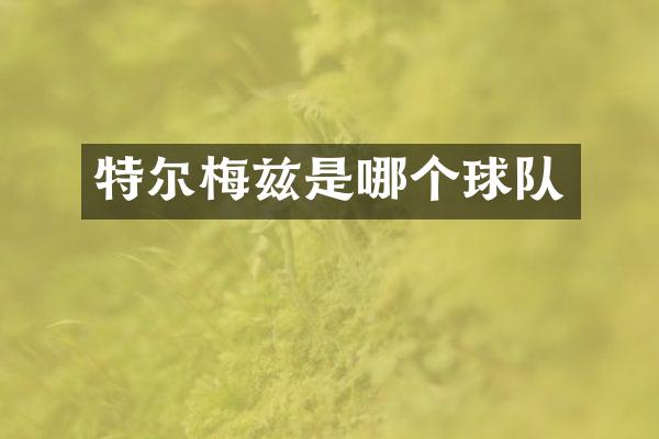 特尔梅兹是哪个球队