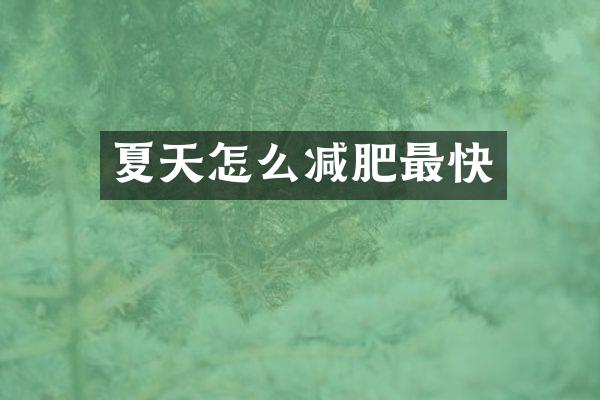夏天怎么减肥最快