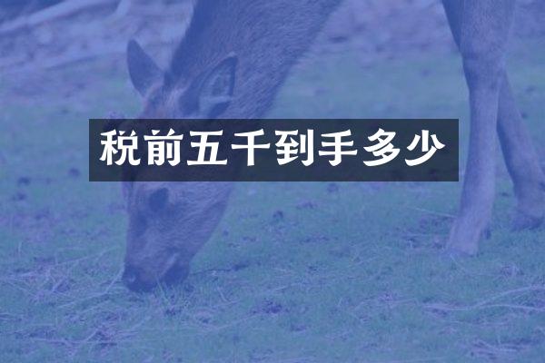 税前五千到手多少