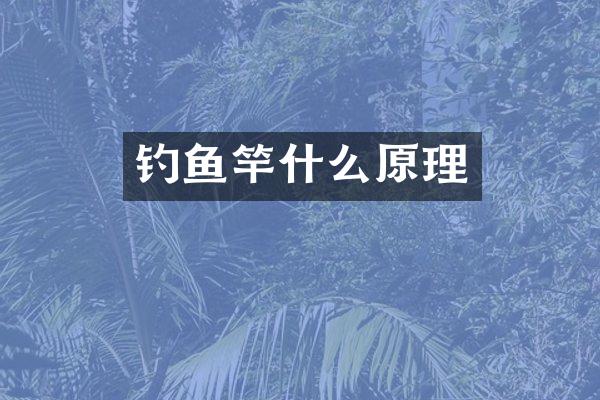 钓鱼竿什么原理