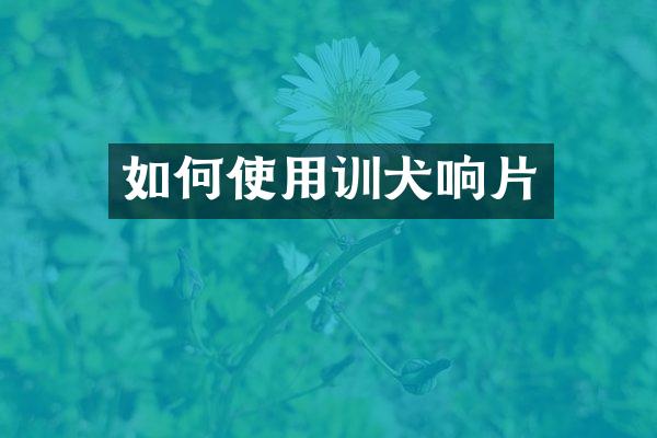 如何使用训犬响片