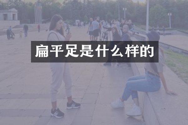 扁平足是什么样的