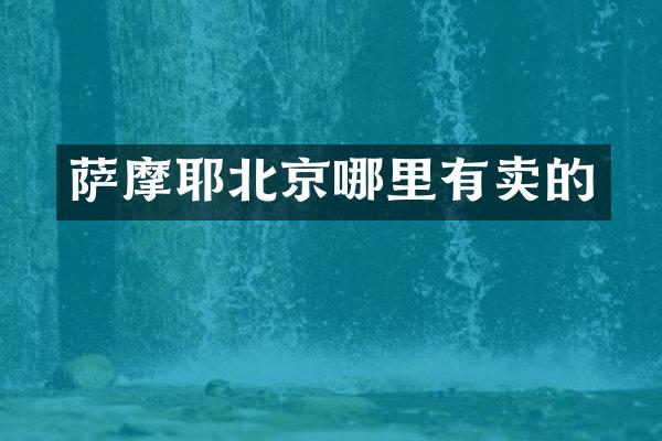 萨摩耶北京哪里有卖的