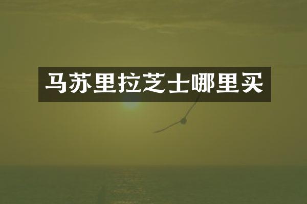 马苏里拉芝士哪里买