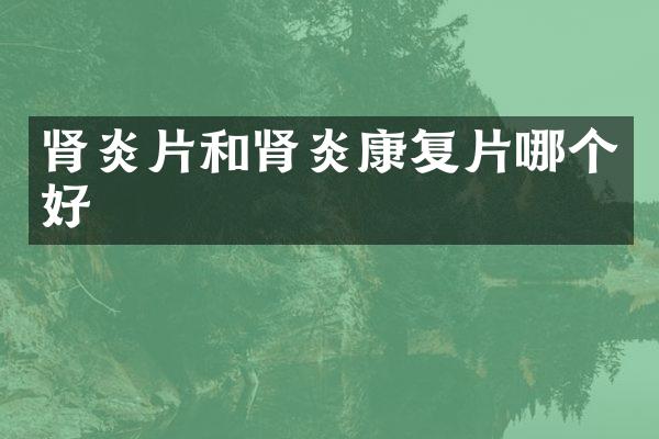 肾炎片和肾炎康复片哪个好