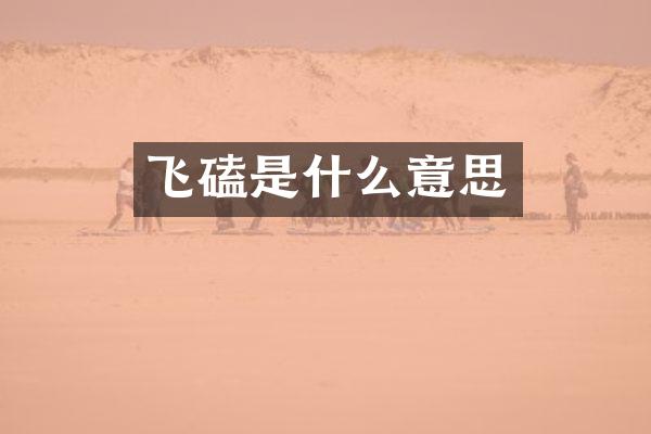 飞磕是什么意思
