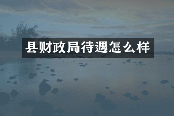 县财政局待遇怎么样