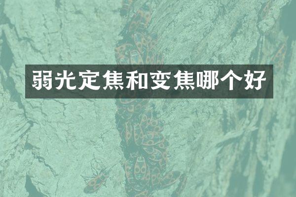 弱光定焦和变焦哪个好
