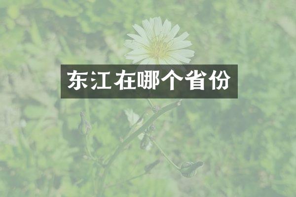 东江在哪个省份