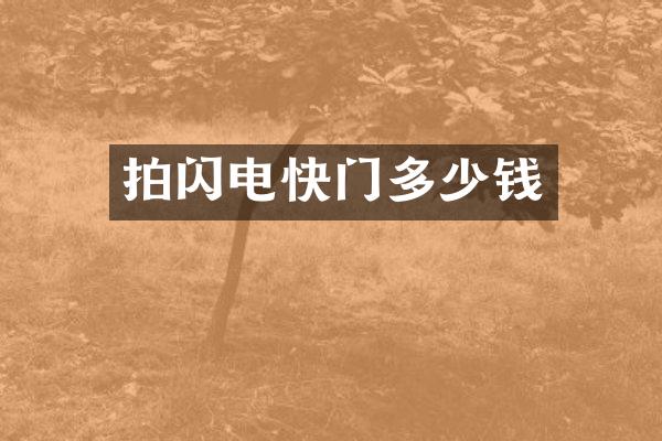 拍闪电快门多少钱