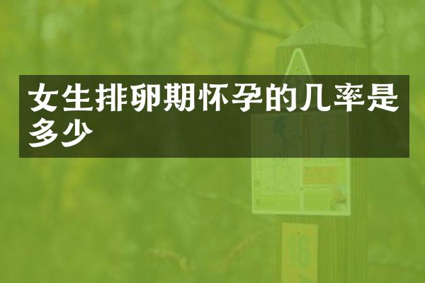女生排卵期怀孕的几率是多少