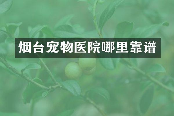 烟台宠物医院哪里靠谱