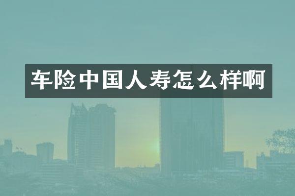 车险中国人寿怎么样啊
