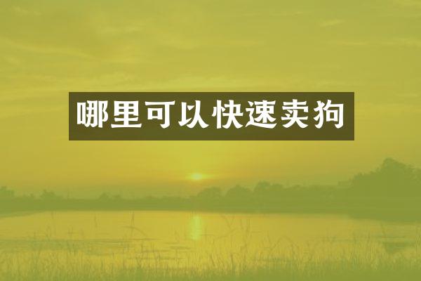 哪里可以快速卖狗