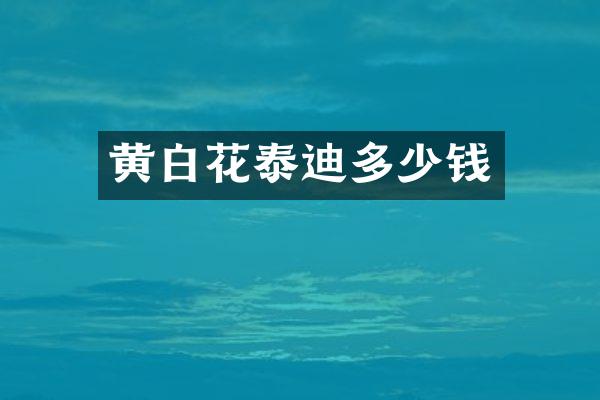 黄白花泰迪多少钱