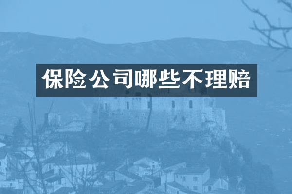 保险公司哪些不理赔
