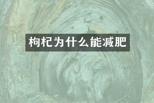 枸杞为什么能减肥