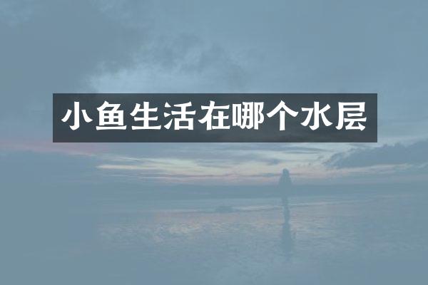 小鱼生活在哪个水层