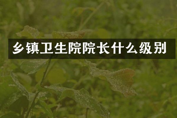 乡镇卫生院院长什么级别