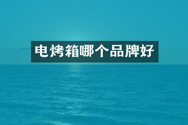 电烤箱哪个品牌好